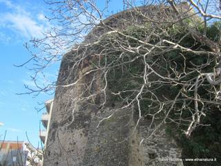 Torre Mina